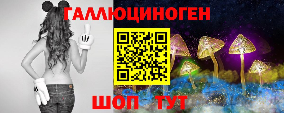 Галлюциногенные грибы Cubensis  Псилоцибиновые грибы MAGIC MUSHROOMS  Вход с VPN  Выборг 