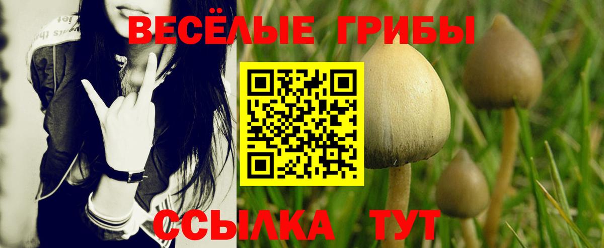 LSD-25 Выборг